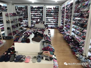 專供商超百貨業(yè)態(tài)杭州童裝與拖鞋標(biāo)桿生產(chǎn)企業(yè)訪廠教學(xué)活動圓滿成功，苗木花卉產(chǎn)業(yè)協(xié)同發(fā)展